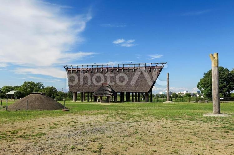 🏞️ 이케가미 소네 사적공원(이케가미소네시세키코엔) 이미지 7